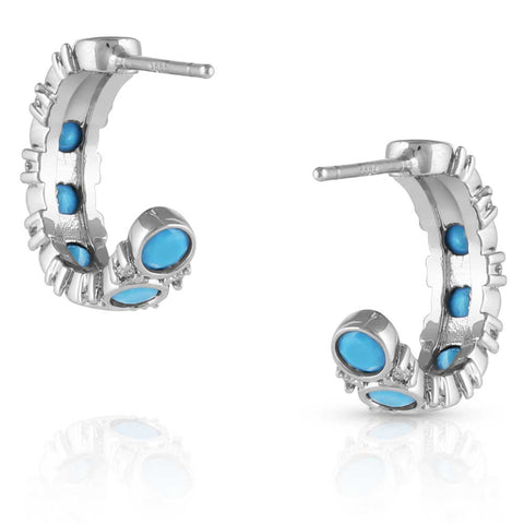 Blue Moon Crystal Earrings