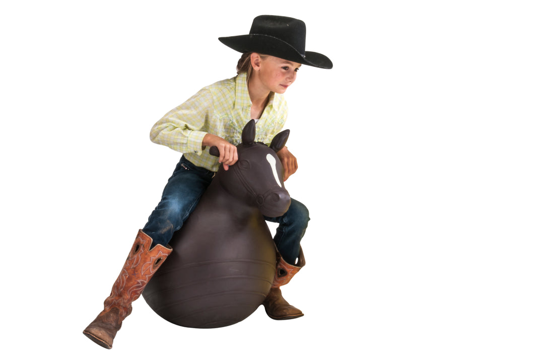 Big country toys bouncy horse online